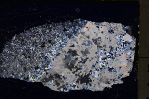 Cross Polarized, E18615