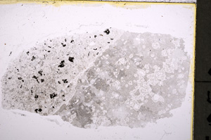 Plane Polarized, E18615