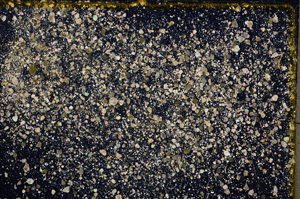 Cross Polarized, E18623