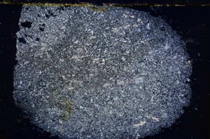 Cross Polarized, E18637