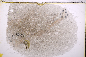 Plane Polarized, E18637