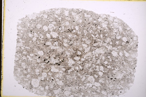 Plane Polarized, E18650