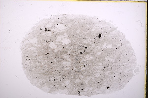 Plane Polarized, E18651