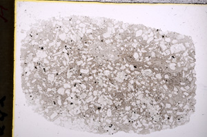 Plane Polarized, E18672