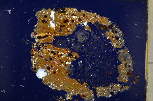 Cross Polarized, E18687