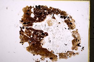 Plane Polarized, E18687