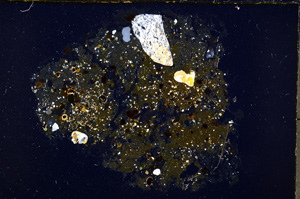 Cross Polarized, E18687/A