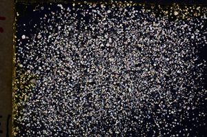 Cross Polarized, E18690