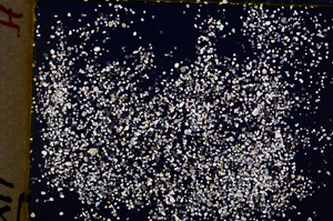 Cross Polarized, E18699