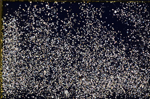 Cross Polarized, E18700