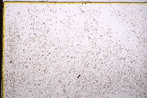 Plane Polarized, E18700