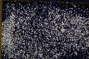 Cross Polarized, E18702