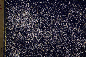 Cross Polarized, E18703