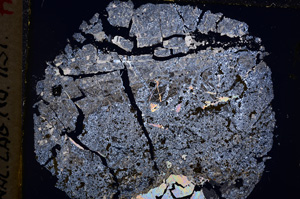 Cross Polarized, E18718