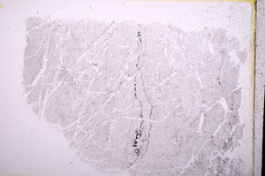 Plane Polarized, E18721