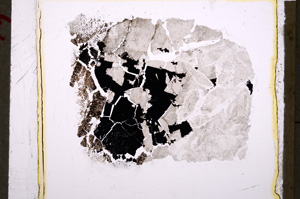 Plane Polarized, E18727