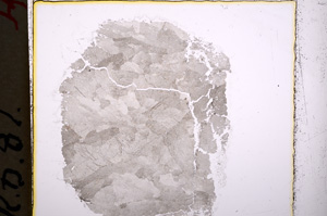 Plane Polarized, E18731