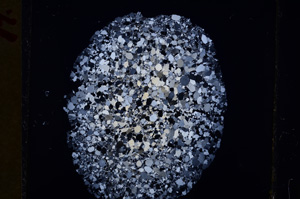 Cross Polarized, E18744