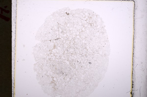 Plane Polarized, E18744