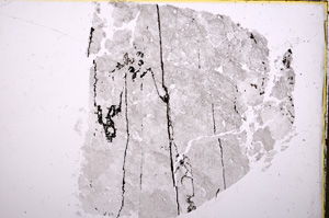 Plane Polarized, E18745