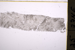 Plane Polarized, E18747