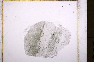 Plane Polarized, E18759