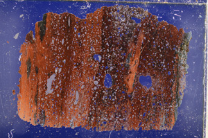 Cross Polarized, E18768