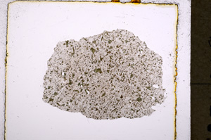 Plane Polarized, E18769