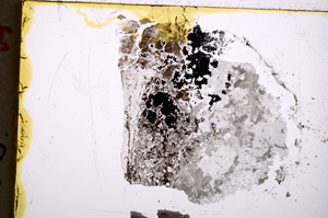 Plane Polarized, E18771