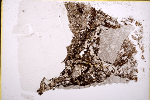 Plane Polarized, E18774