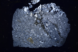 Cross Polarized, E18784