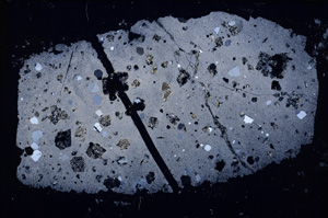Cross Polarized, E18786