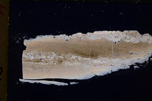 Cross Polarized, E18791