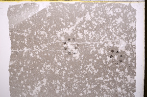Plane Polarized, E18793