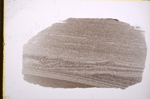 Plane Polarized, E18795