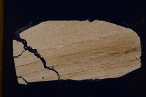 Cross Polarized, E18796