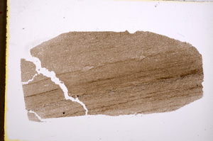 Plane Polarized, E18796