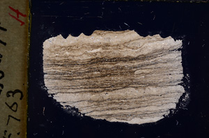 Cross Polarized, E18797