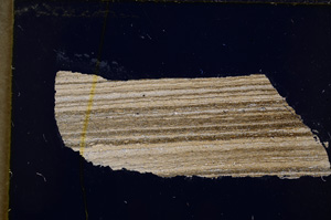 Cross Polarized, E18801