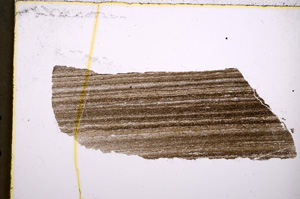 Plane Polarized, E18801