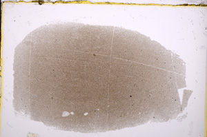 Plane Polarized, E18803