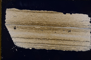 Cross Polarized, E18804