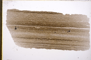 Plane Polarized, E18804