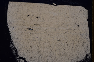 Cross Polarized, E18805