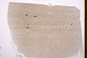 Plane Polarized, E18805