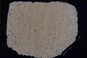 Cross Polarized, E18808