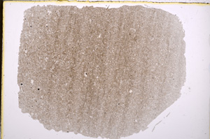 Plane Polarized, E18808