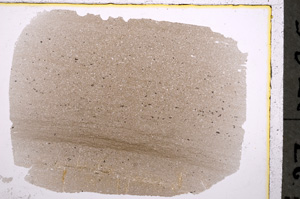 Plane Polarized, E18812