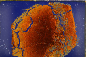 Cross Polarized, E18814