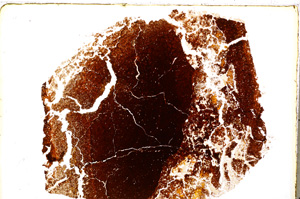 Plane Polarized, E18814